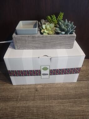 Scentsy Sue-Cute-Lent Succulent Aromatherapy Wax Warmer In Box Faux plants